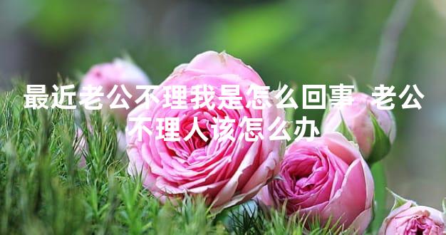 最近老公不理我是怎么回事  老公不理人该怎么办